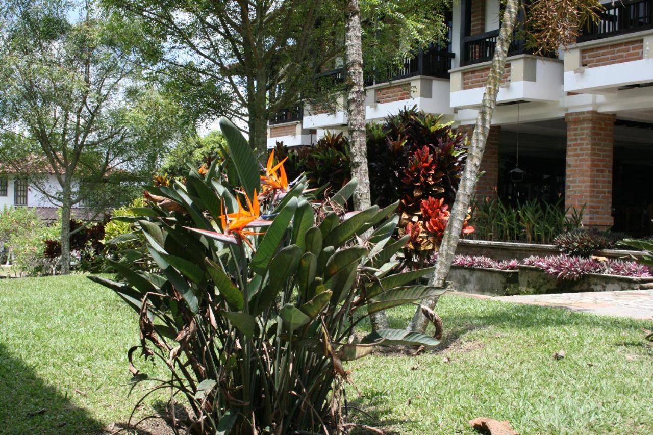 Finca Hotel La Esperanza 몬테네그로 외부 사진